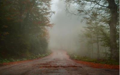 ¿Cuáles son las fases del duelo? ¿Cómo superarlo?