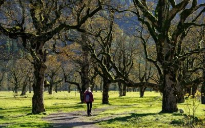 ¿Realmente desconectamos en vacaciones? Una invitación a reconectar contigo